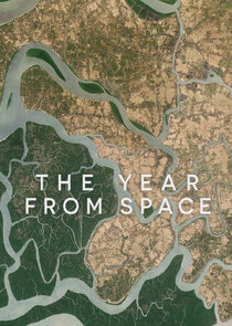 The Year From Space
