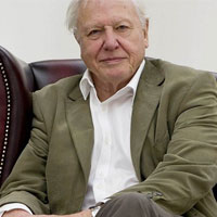 David Attenborough's Africa