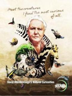 David Attenborough's Natural Curiosities