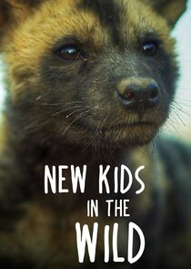 New Kids in the Wild