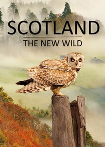 Scotland - The New Wild