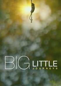 Big Little Journeys