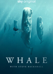 Whale with Steve Backshall