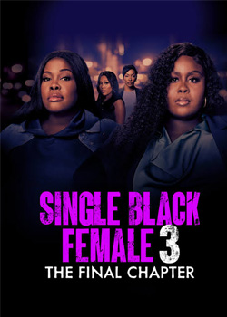 Single Black Female 3: The Final Chapter