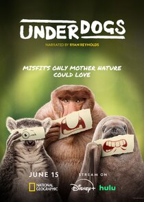 Underdogs