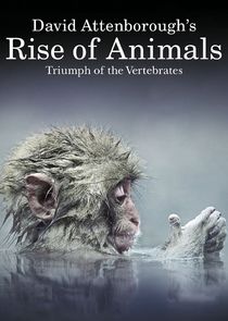 David Attenborough's Rise of Animals (2013)
