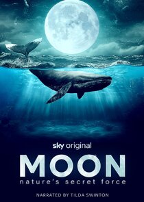Moon: Nature's Secret Force